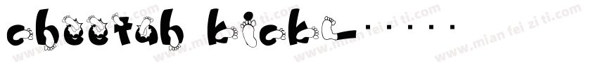 cheetah kick字体转换